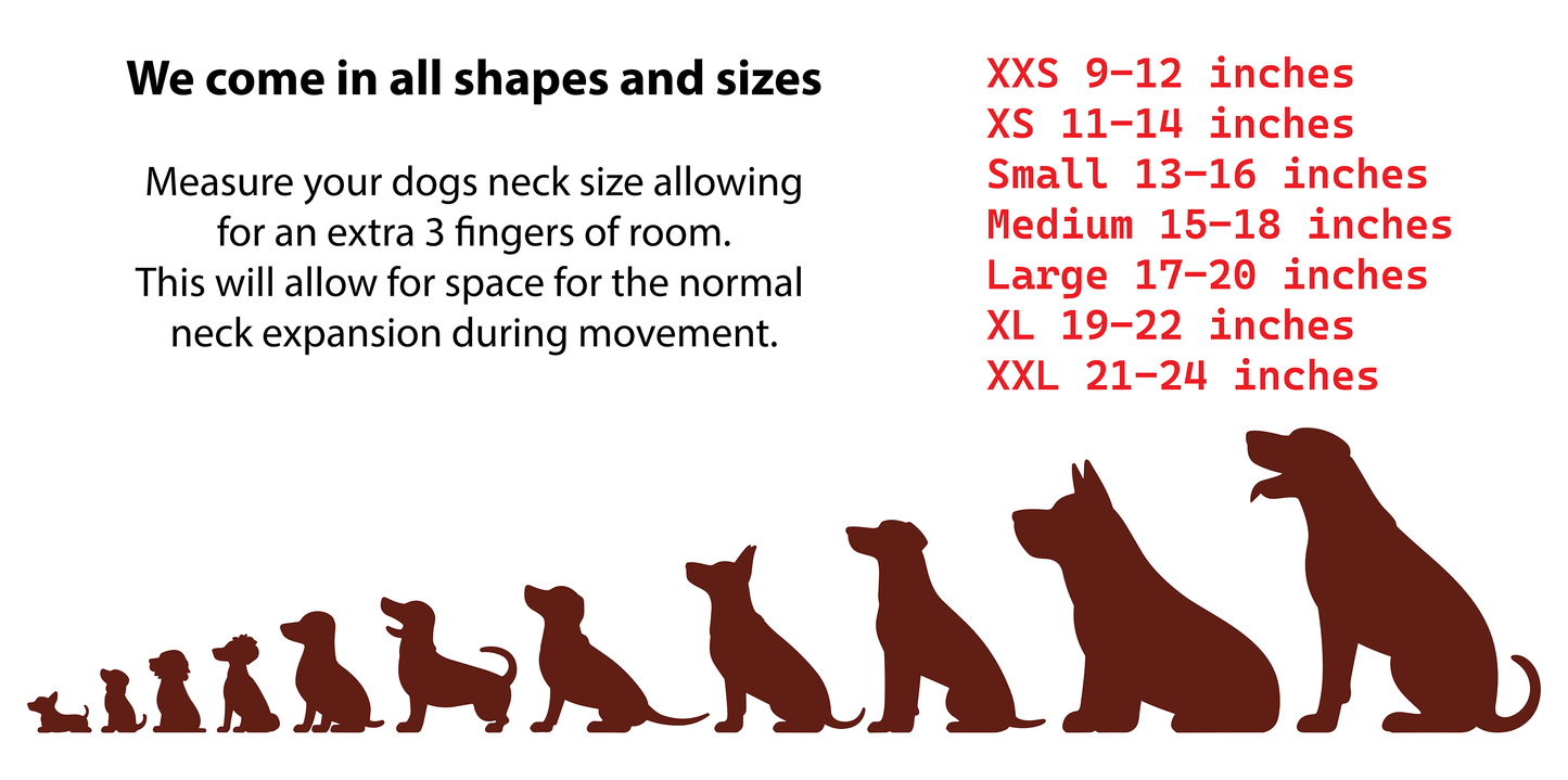 Kernow Killer dog collar