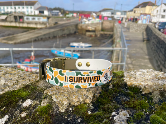 Kernow Killer dog collar
