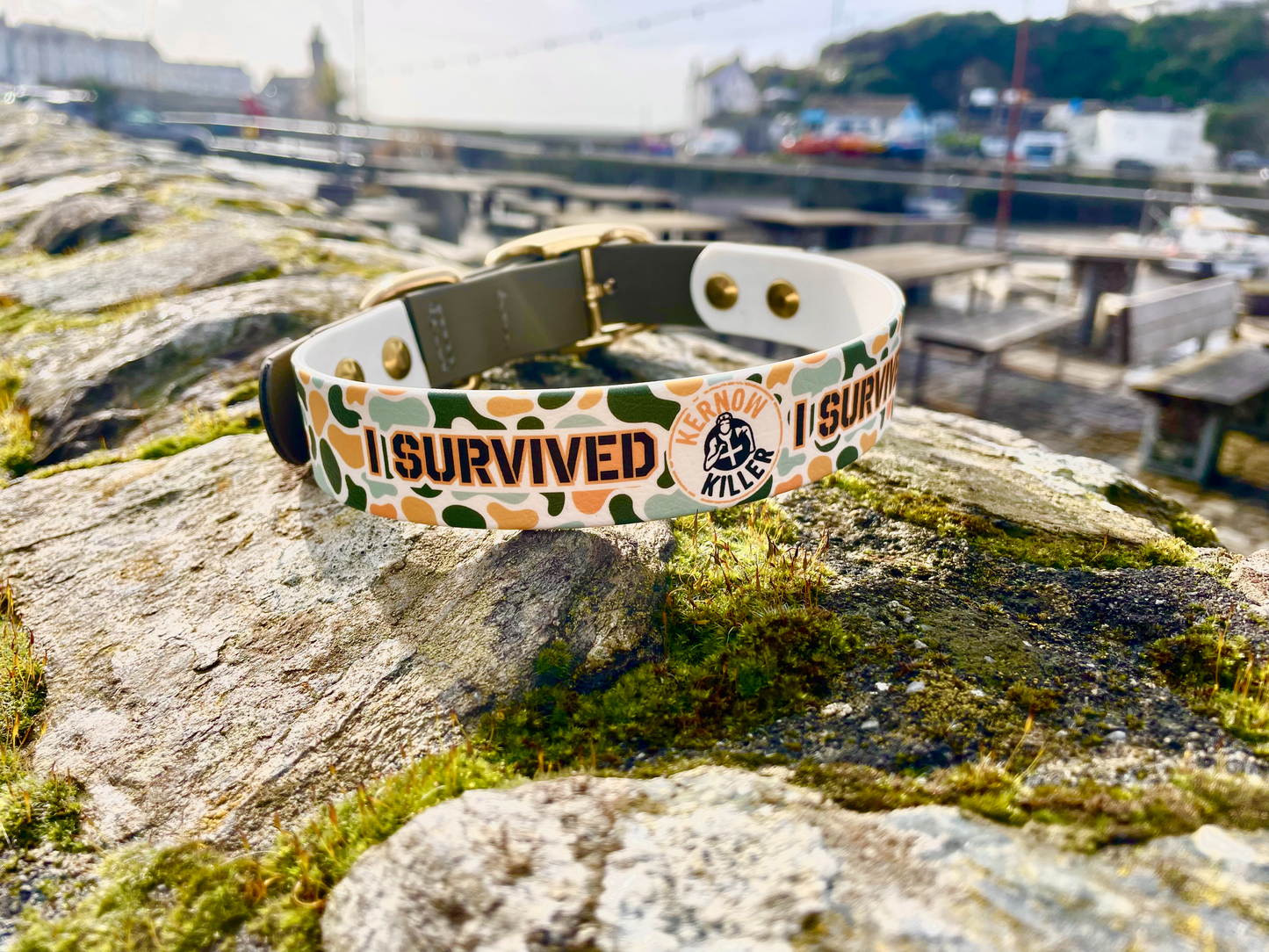 Kernow Killer dog collar